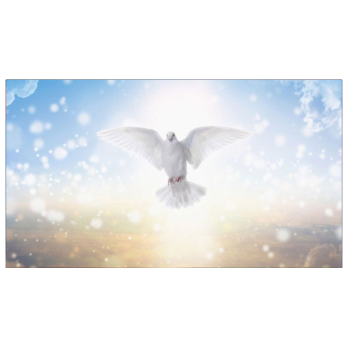 Kitô học trong Ánh Sáng Thánh Linh (1)